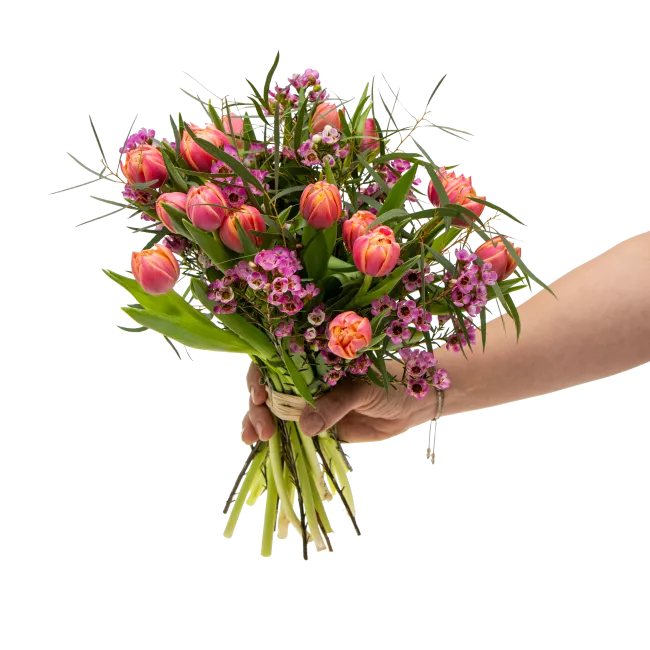Bouquet of tulips in full bloom